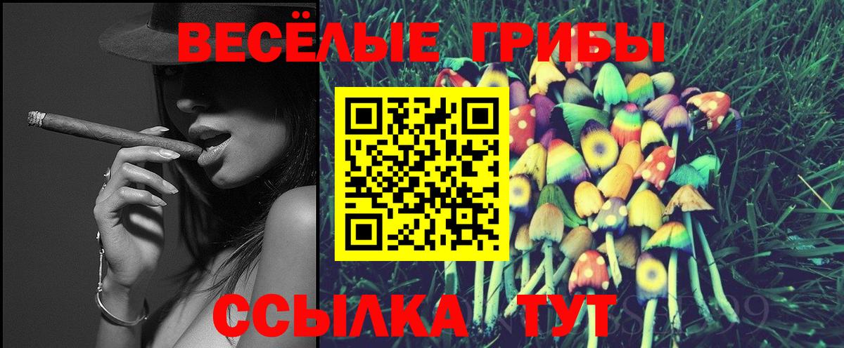 Клин  Псилоцибиновые грибы Psilocybe  Вход с VPN 