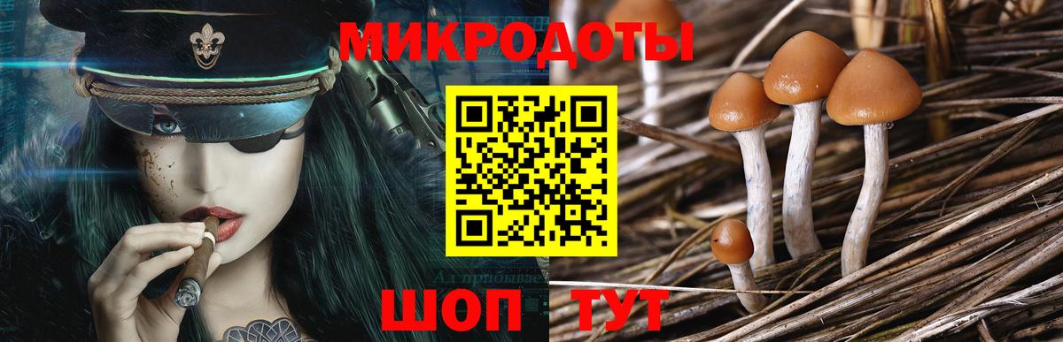 Галлюциногенные грибы мицелий Клин